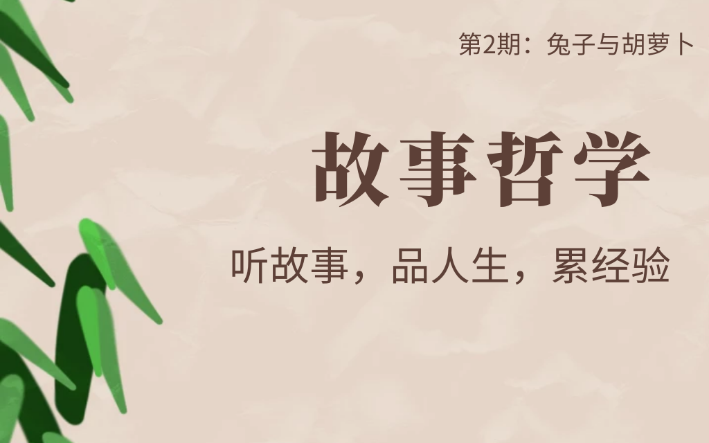 第三期：《兔子与胡萝卜》