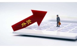 W外资公司绩效革新的失败研究