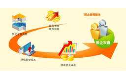 企业现金管理制度及流程
